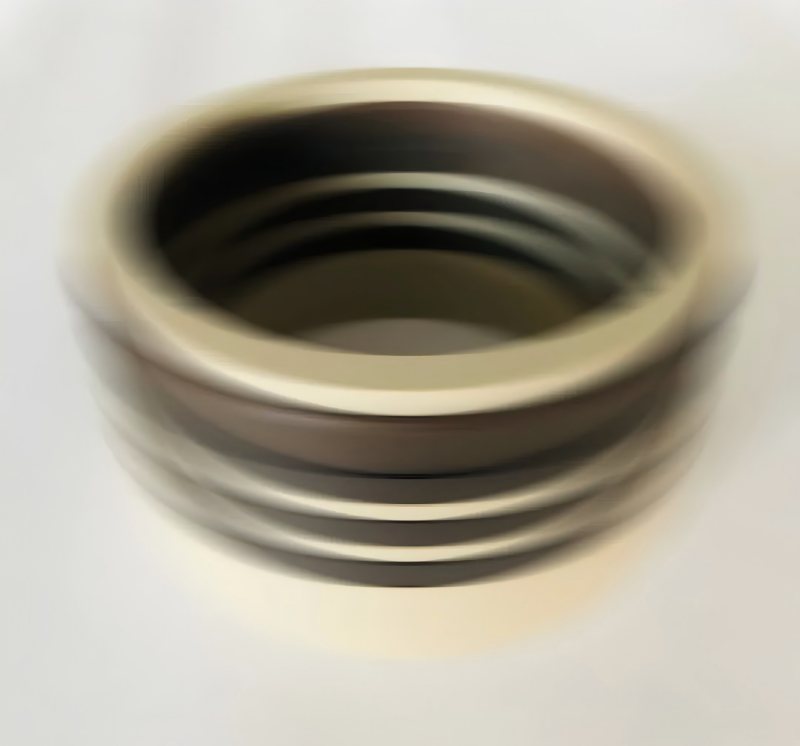 Le milieu de l'eau 600MPA de Ruichen Sceau du joint à ultra-haute pression du joint à ultra-hauteur a passé le test utilisateur