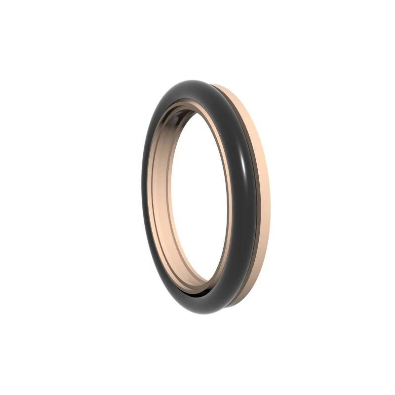 High Pressure Rotary Seals