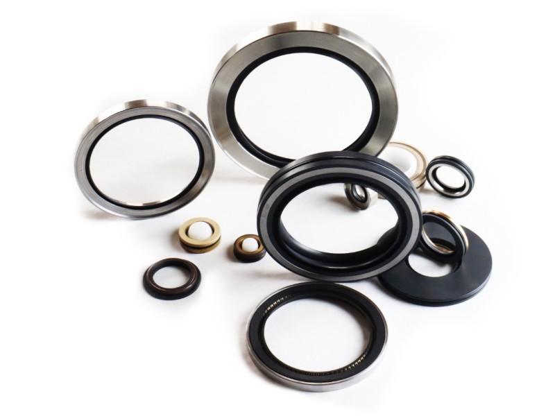 Rotary Seals