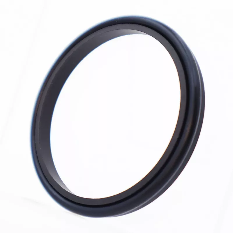 Joint racleur combiné à une lèvre